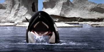 orca la ballena asesina