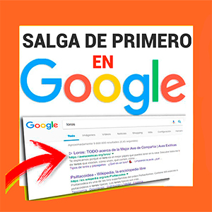 SEO COLOMBIA