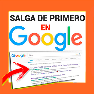 Posicionamiento SEO Google