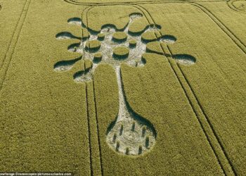 Un misterioso círculo de las cosechas aparece en Wiltshire, Reino Unido