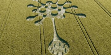 Un misterioso círculo de las cosechas aparece en Wiltshire, Reino Unido