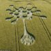 Un misterioso círculo de las cosechas aparece en Wiltshire, Reino Unido