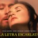 la-letra-escarlata-pelicula-online