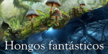 hongos fantasticos