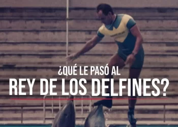 ¿Qué le pasó al rey de los delfines?