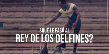 ¿Qué le pasó al rey de los delfines?