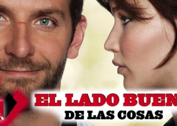El lado bueno de las cosas - Ver Pélicula Online