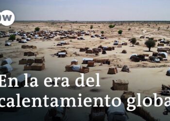Cómo contrarrestar la crisis climática | Documental