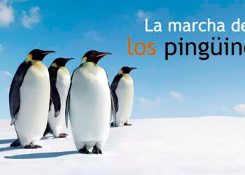 La marcha del pingüino - Documental