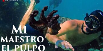 Mi Maestro el Pulpo