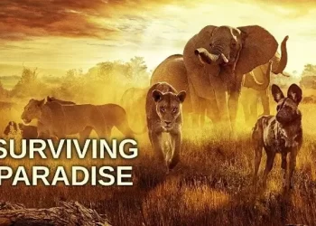 Sobreviviendo al Paraíso