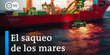 Un océano de codicia